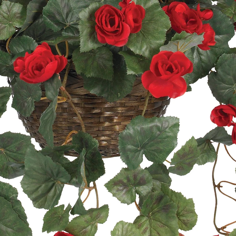 24" Red Begonia in Hanging Basket
