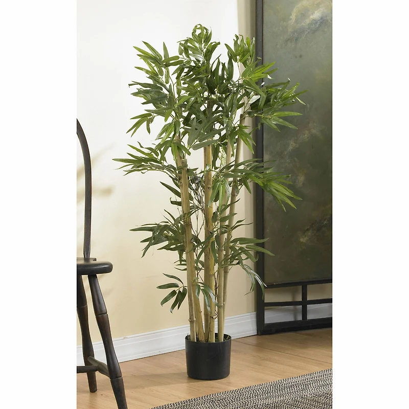 3ft. Potted Bambusa Bamboo Tree