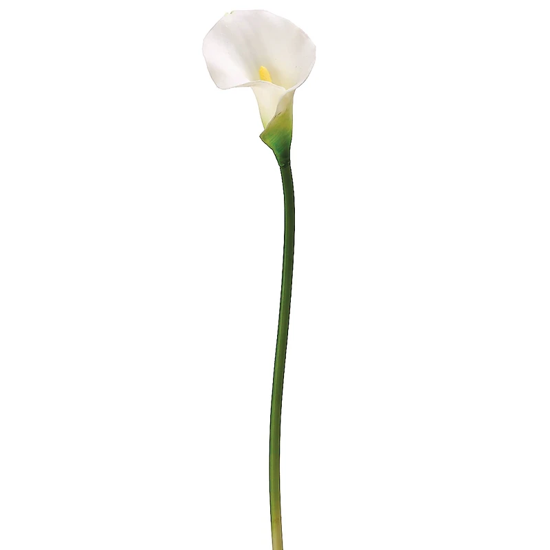 White Calla Lily Stem