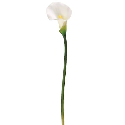 White Calla Lily Stem