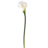 White Calla Lily Stem