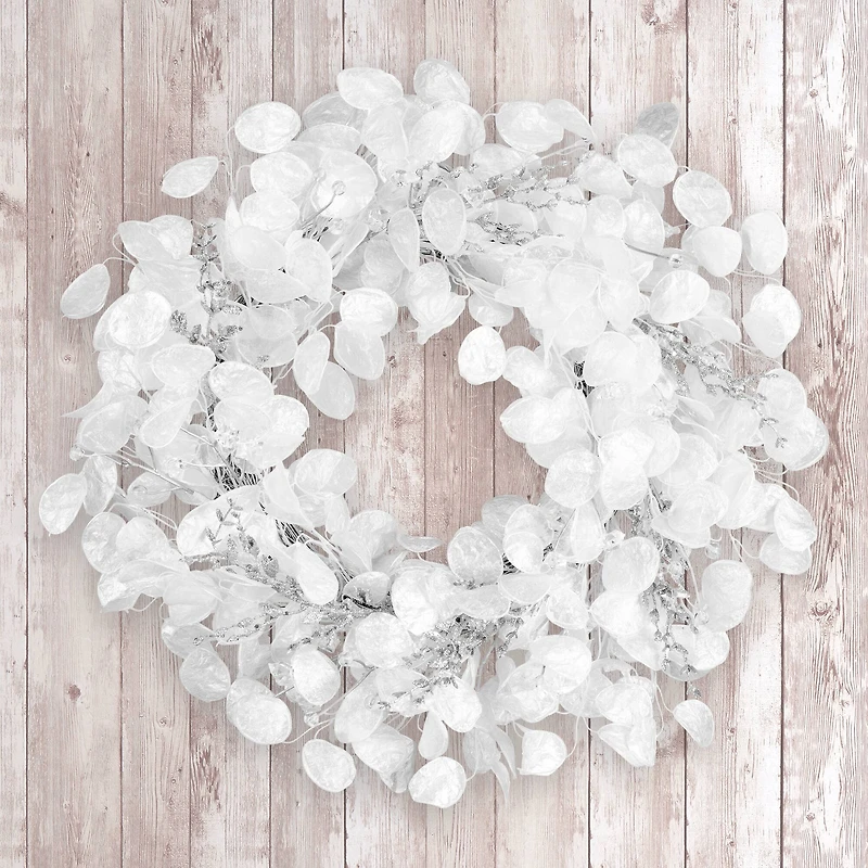 24" Winter Frost White Wreath
