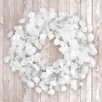 24" Winter Frost White Wreath