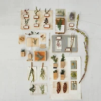 Hello Honey® 36" Red Long Faux Berry Stem