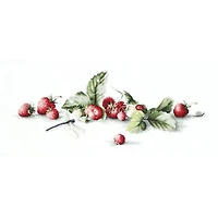 Luca-s Etude With Strawberries Counted Cross Stitch Kit