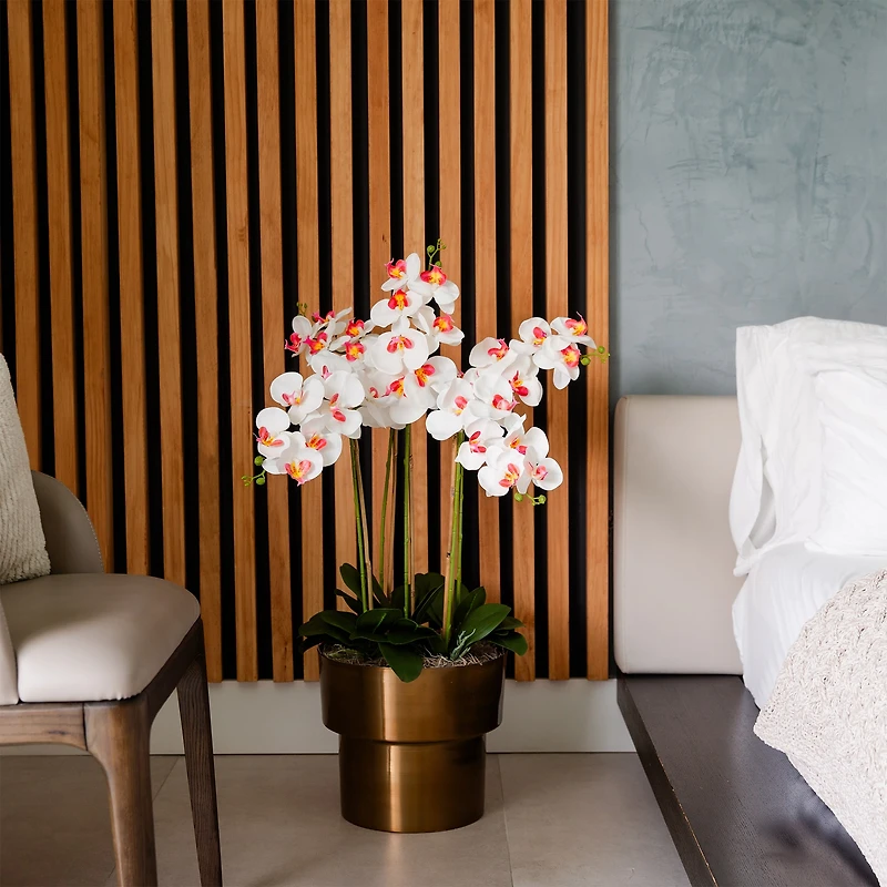 4ft. White Orchid Arrangement in Brass Metal Planter with Stand