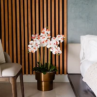 4ft. White Orchid Arrangement in Brass Metal Planter with Stand