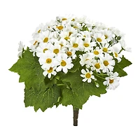 White Daisy Flower Bush, 6ct.