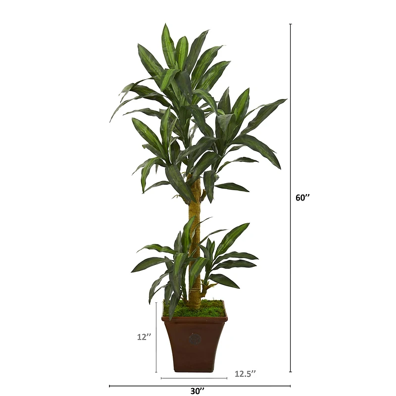 5ft. Yucca Plant in Brown Planter