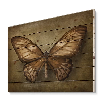 Designart - Vintage Butterfly In Earth Tones