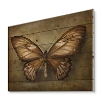 Designart - Vintage Butterfly In Earth Tones