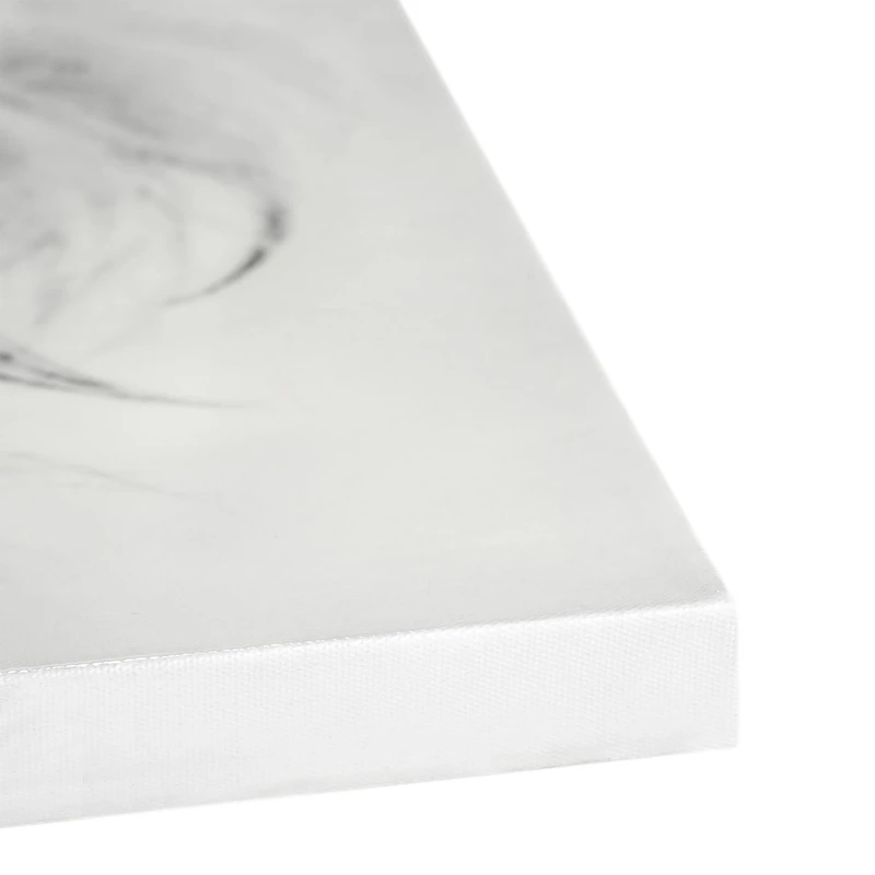 Regal Lion Black & White Glossy Wall Art