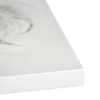 Regal Lion Black & White Glossy Wall Art