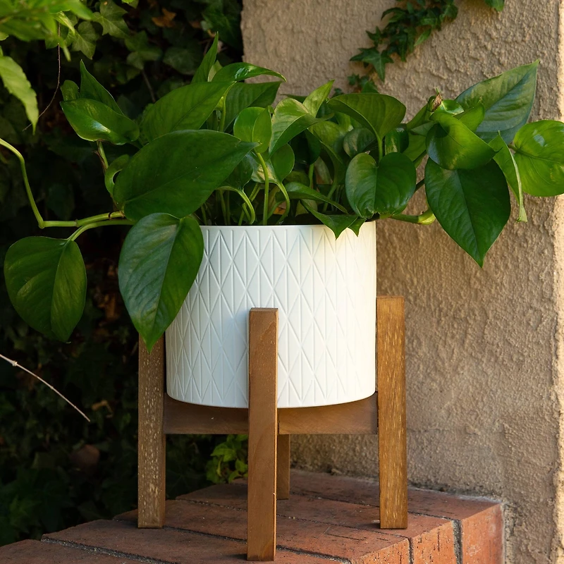 Flora Bunda 8" Matte White Diamond Ceramic Pot On Wood Stand