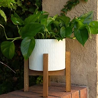 Flora Bunda 8" Matte White Diamond Ceramic Pot On Wood Stand