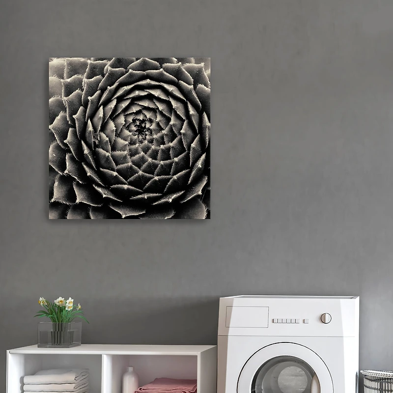 Lumaprints Succulent Giclée Canvas