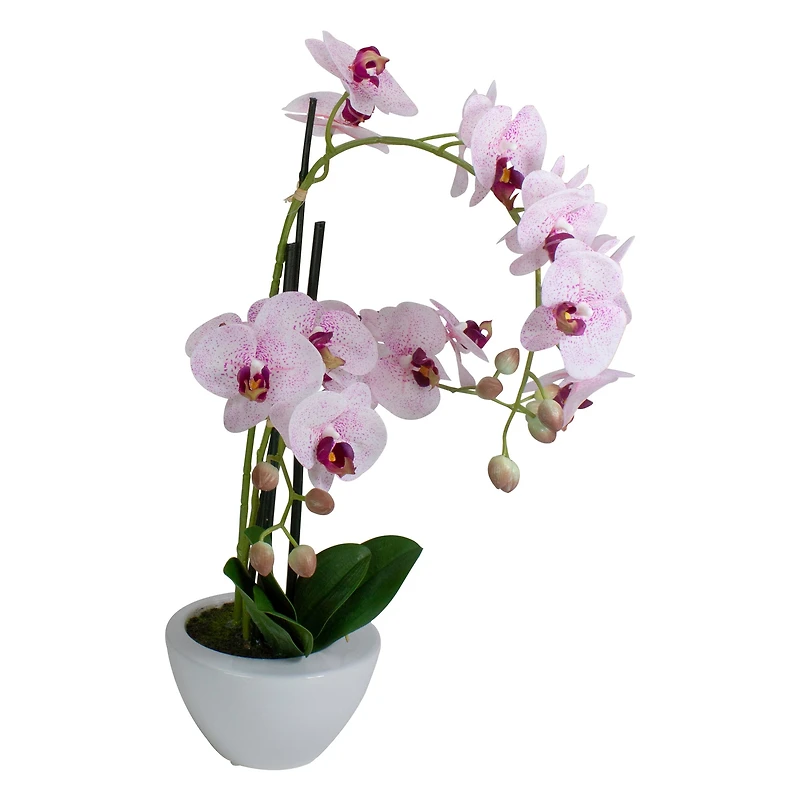 21" Pink & White Orchid Plant in White Pot