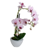 21" Pink & White Orchid Plant in White Pot