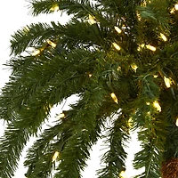 6ft. Pre-Lit Palm Artificial Christmas Tree, Warm White LED Lights
