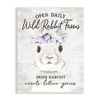 Stupell Industries Wild Rabbit Farms Weathered Floral Crown Sign Wall Plaque Art