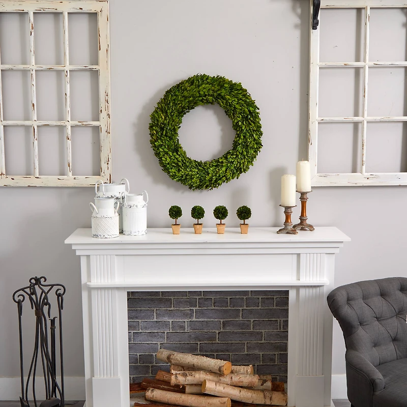 6" Boxwood Topiary Preserved Plant in Ceramic Planter, 4ct.