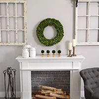 6" Boxwood Topiary Preserved Plant in Ceramic Planter, 4ct.