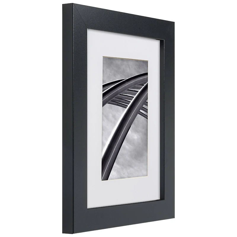 Craig Frames 4 Pack Bauhaus Mystic Satin Black Picture Frame with Mat
