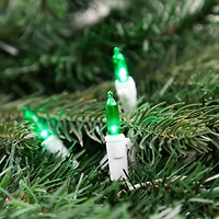 50ct. Mini LED Christmas Lights