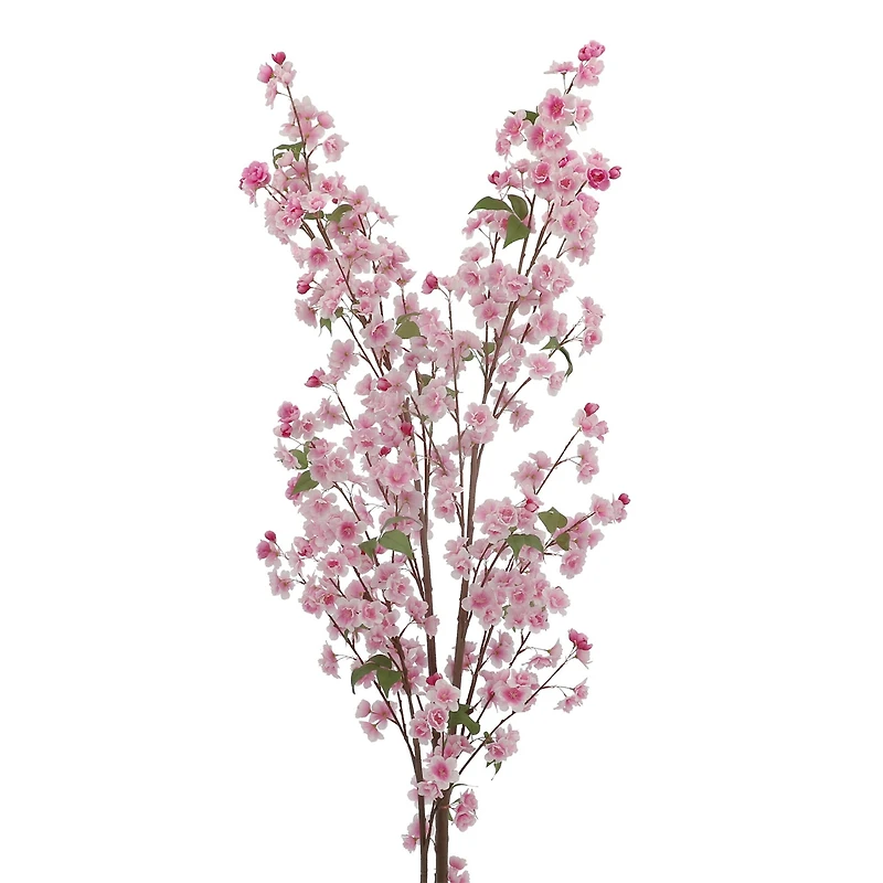 6ft. Potted Pink Cherry Blossom Tree by Ashland®