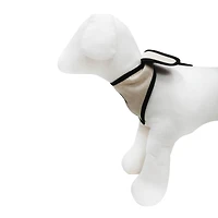 Best Furry Friends Ring Bearer Bandana