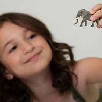 Safari Ltd® TOOB® South African Animals