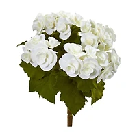 White Begonia Flower Bush, 4ct.
