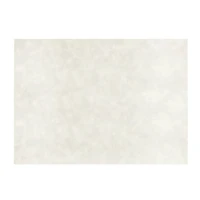 JAM Paper 5" x 7" White Parchment Flat Note Cards, 250ct.
