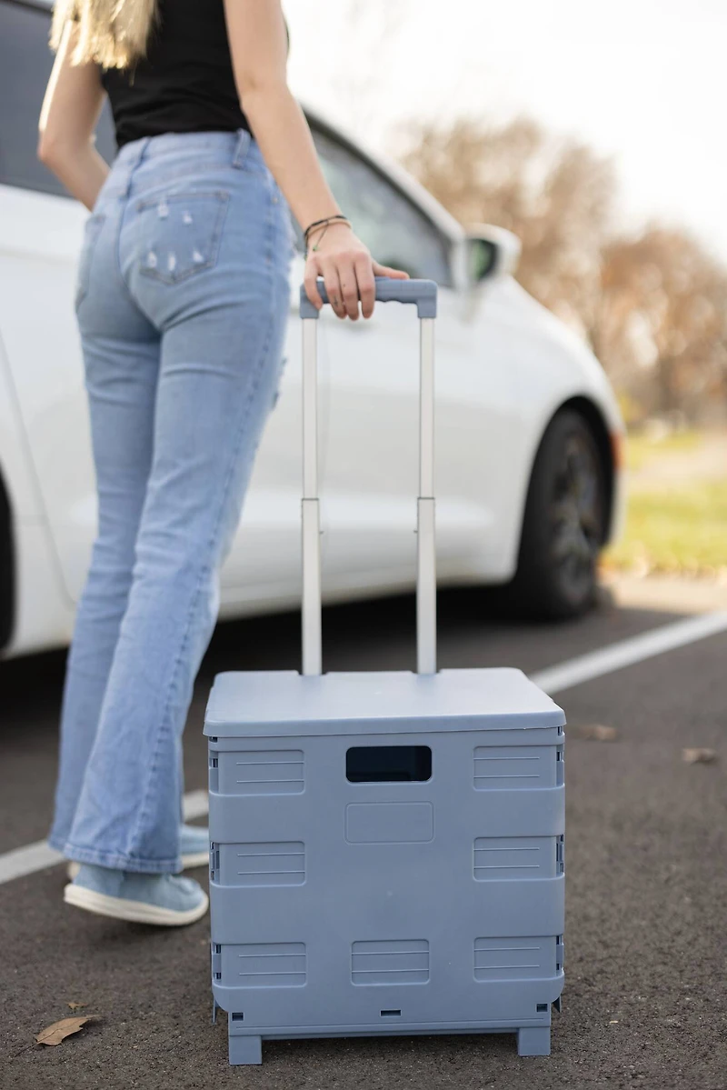 Everything Mary Blue Plastic Collapsible Cart Organizer