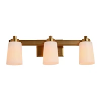 Hello Honey® Robert Stevenson Lighting Sullivan Park Frosted Glass & Metal 3-Light Vanity