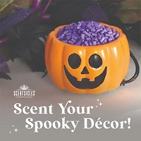 Scentiscles Pumpkin Warmer, Scentfetti Witch's Berry Brew & Pumpkin 'n Cider, 3 pack 