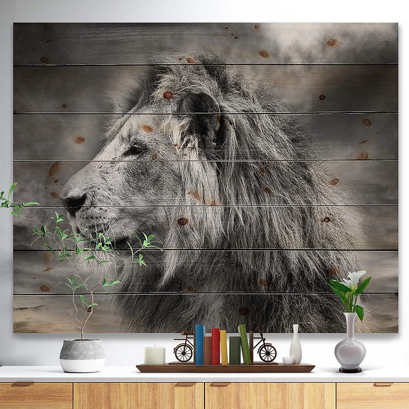 Designart - Grey Wild African Lion