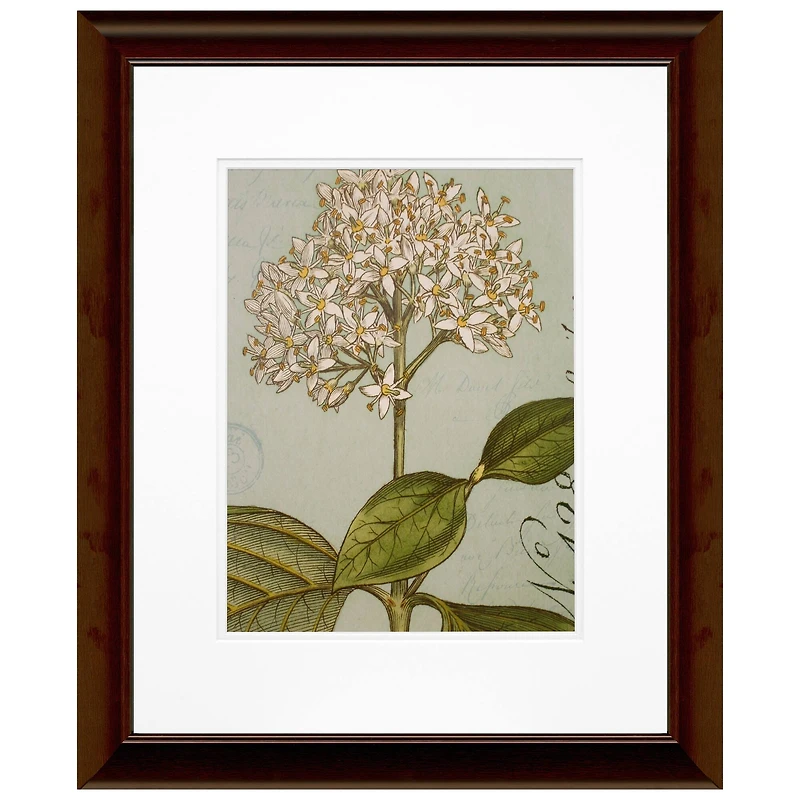 Timeless Frames® Botanique Blue IV Framed Wall Art