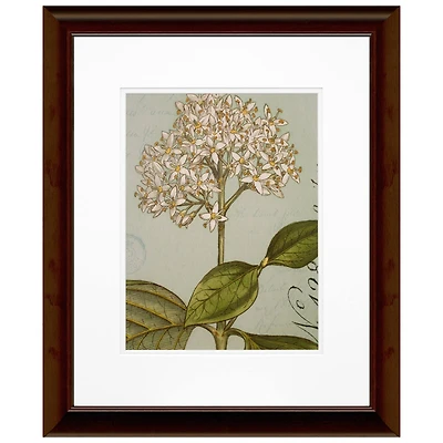 Timeless Frames® Botanique Blue IV Framed Wall Art