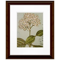 Timeless Frames® Botanique Blue IV Framed Wall Art