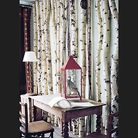 Wilson® Enterprises White Birch Poles