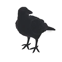 9" Black Crow Tabletop Décor by Ashland®