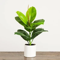 20in. Artificial Fiddle Leaf Fig Plant