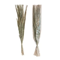 Hello Honey® 38" Dried Natural Canary Grass & Date Palm Bunch
