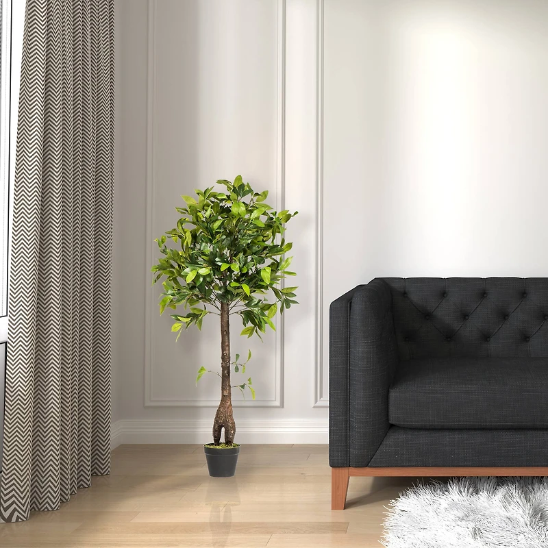 4ft. Potted Camellia Tree