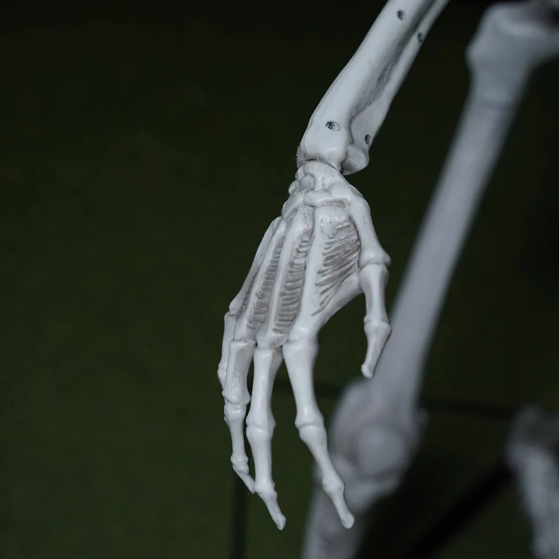 5ft. Skeleton with Red Light-Up Eyes by Ashland®