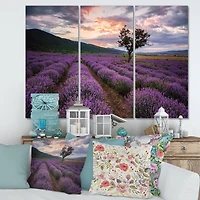 Designart - Lavender Field At Dawn III