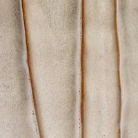 Hello Honey® 5.5" Cream Round Stoneware Pleated Planter