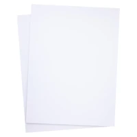 12 Packs: 2 ct. (24 total) 18" x 24" Foam Boards