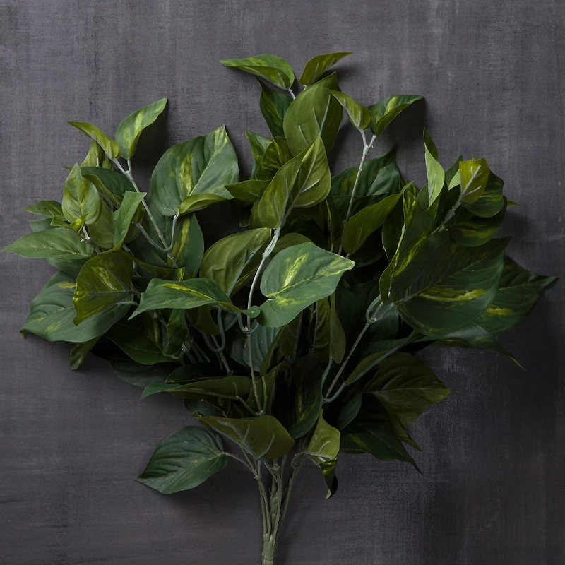 Pothos Bush Real Touch™ Collection by Ashland